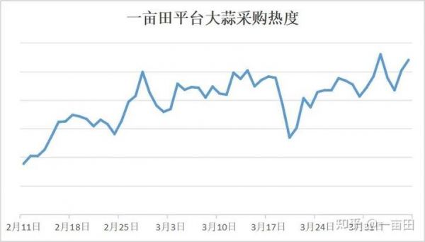 中牟晚熟大蒜最新价格(中牟大蒜行情2021价格走势)-图3 中牟晚熟大蒜最新价格(中牟大蒜行情2021价格走势)-图3