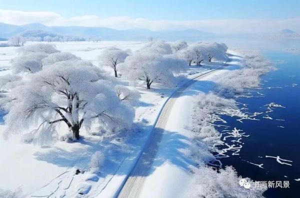杏雪价格（杏雪什么意思）