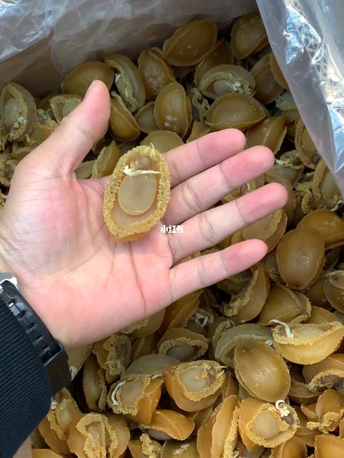 溏心鲍鱼价格(溏心鲍鱼的制作流程)-图2 溏心鲍鱼价格(溏心鲍鱼的制作流程)-图2