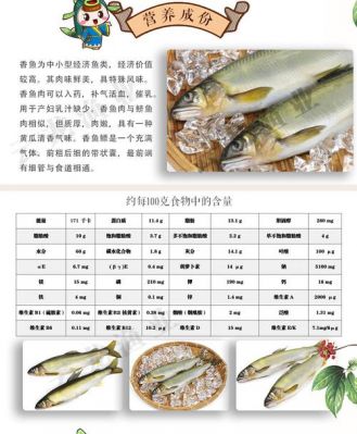 土婆鱼价格(土婆鱼的营养价值及功效)-图2 土婆鱼价格(土婆鱼的营养价值及功效)-图2