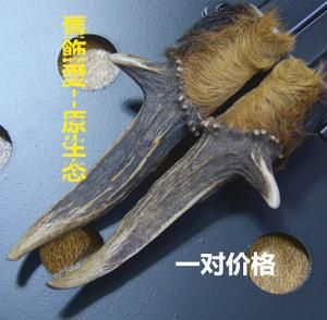 麂子角的价格的简单介绍-图2 麂子角的价格的简单介绍-图2