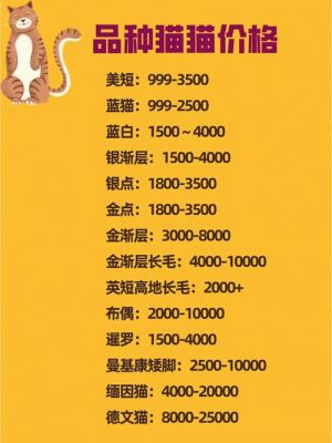 曼切堪猫价格(曼切斯特是哪个城市)-图2 曼切堪猫价格(曼切斯特是哪个城市)-图2
