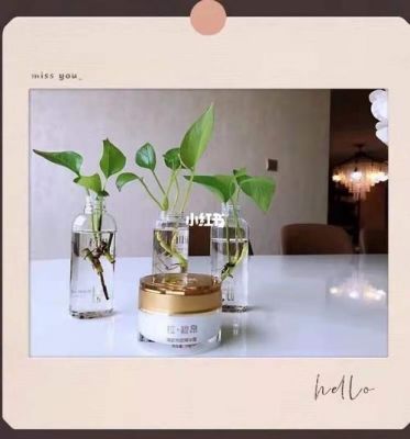 拉.碧昂产品价格(拉碧昂产品怎么样)-图3 拉.碧昂产品价格(拉碧昂产品怎么样)-图3