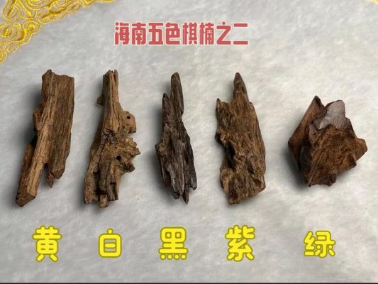 棋南苗价格(棋楠功效与作用)-图3 棋南苗价格(棋楠功效与作用)-图3