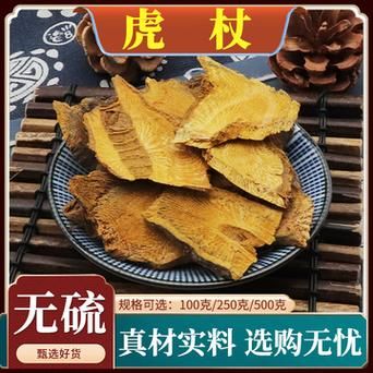 鲜虎杖价格(新鲜虎杖卖多少钱一斤)-图1 鲜虎杖价格(新鲜虎杖卖多少钱一斤)-图1