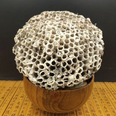 家蜂房价格(家蜂房和山蜂房)-图3 家蜂房价格(家蜂房和山蜂房)-图3