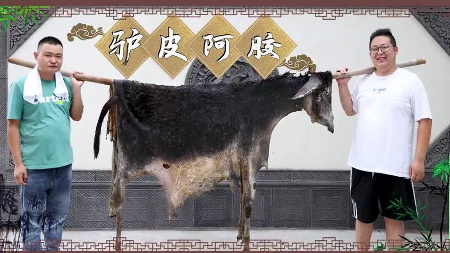 今日驴皮价格(今日驴皮价格最新行情)-图3 今日驴皮价格(今日驴皮价格最新行情)-图3