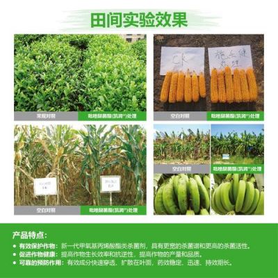 巴斯夫施乐健价格(巴斯夫ls500)-图3 巴斯夫施乐健价格(巴斯夫ls500)-图3