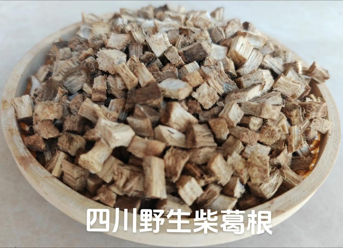 葛苗价格（葛根种子价格）
