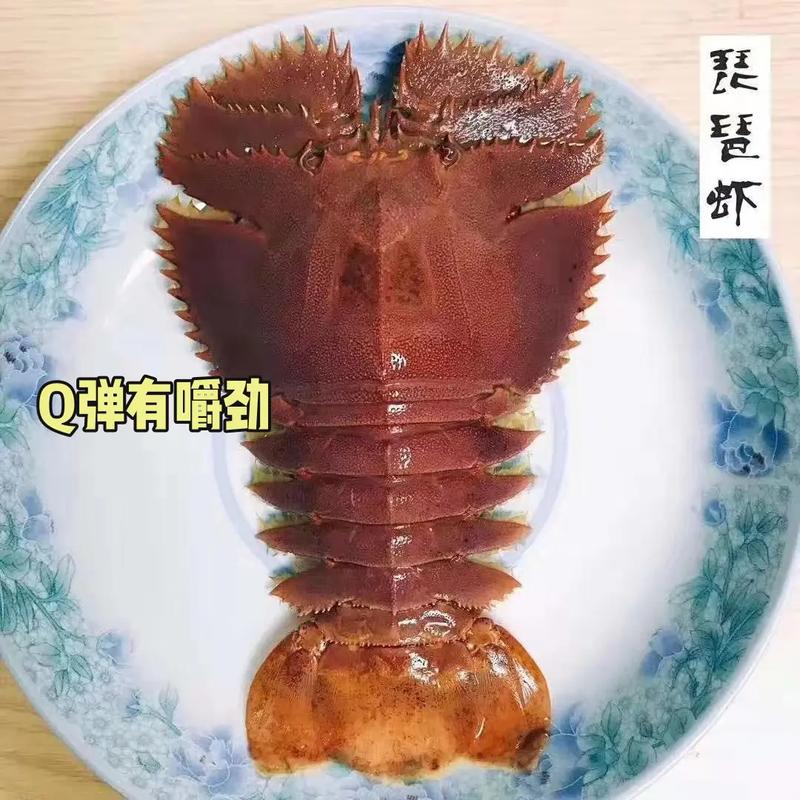九扇虾价格(九齿扇虾营养价值)-图2 九扇虾价格(九齿扇虾营养价值)-图2