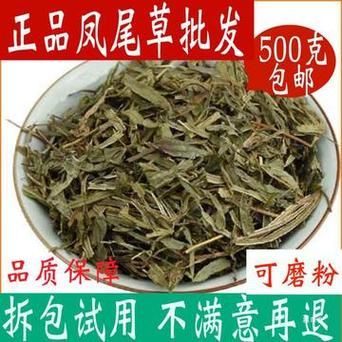龙头凤尾草价格(龙头凤尾植物)-图2 龙头凤尾草价格(龙头凤尾植物)-图2