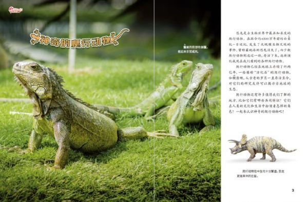 小牛顿价格(小牛顿总部在哪)-图3 小牛顿价格(小牛顿总部在哪)-图3