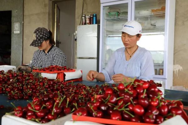 易县易州福酒的价格表（易州福酒价格38度多少钱一瓶）