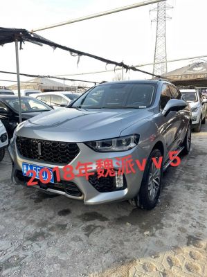 魏派vv5价格(魏派vv5价格图片及配置)-图3 魏派vv5价格(魏派vv5价格图片及配置)-图3