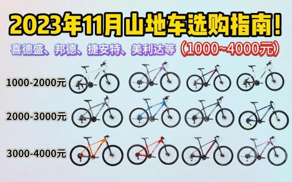 喜德盛m30价格（喜德盛m30 2019年价格）