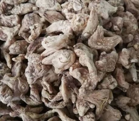 中药材白芨价格(中药材白芨价格一览表2023)-图2 中药材白芨价格(中药材白芨价格一览表2023)-图2