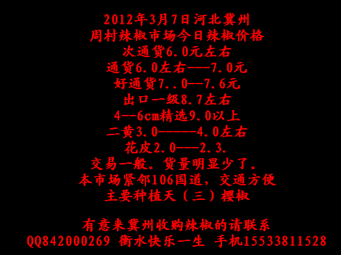 冀州周村辣椒价格(河北冀州辣椒走势)-图2 冀州周村辣椒价格(河北冀州辣椒走势)-图2