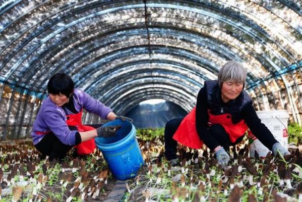 江之蓝价格表(江之蓝42度多少一瓶)-图3 江之蓝价格表(江之蓝42度多少一瓶)-图3