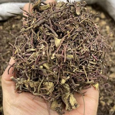 紫菀的价格（紫菀的价格多少钱一斤）