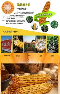 德美亚2016价格(德美亚2号品种简介)-图2 德美亚2016价格(德美亚2号品种简介)-图2