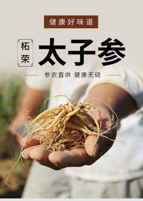 牛大场太子参最新价格(牛大力太子参功效)-图3 牛大场太子参最新价格(牛大力太子参功效)-图3