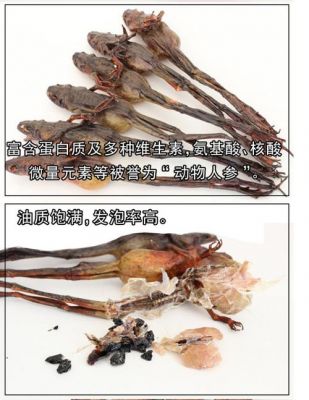 关于干雪蛤价格的信息