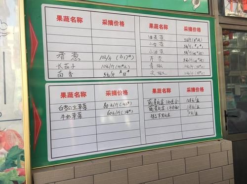 金星果园价格(金星农业采摘园)-图2 金星果园价格(金星农业采摘园)-图2