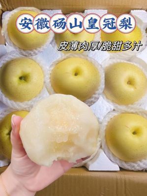 砀山皇冠梨价格（砀山皇冠梨和砀山梨的区别）