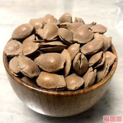 山杏核最新价格（山杏核的价格）