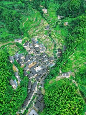 降山高价格(降山高植物饮料怎么样)-图2 降山高价格(降山高植物饮料怎么样)-图2
