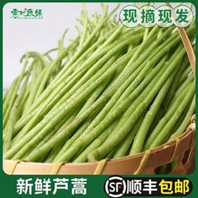 泥蒿价格（泥蒿价格多少）