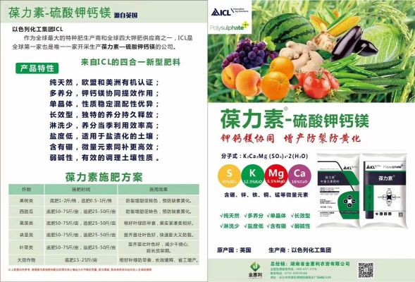 葆尔力价格（葆力官网）