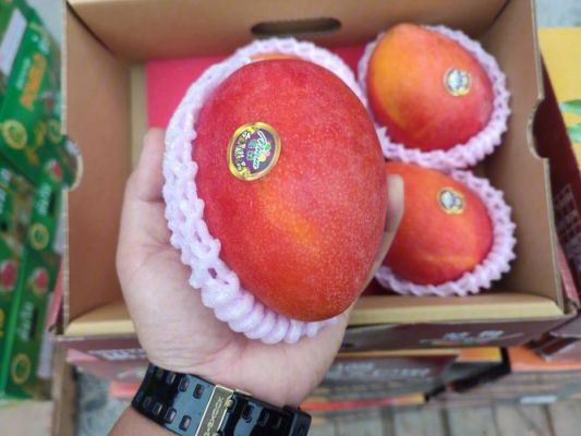爱文芒价格(爱文芒果贵吗)-图3 爱文芒价格(爱文芒果贵吗)-图3