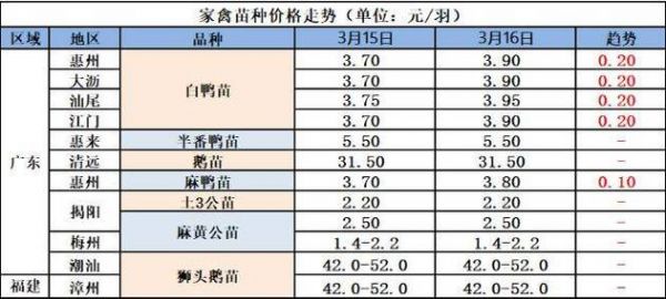肉鹅价格行情(肉鹅价格行情今日报价河南)-图2 肉鹅价格行情(肉鹅价格行情今日报价河南)-图2