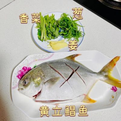 黄立鲳价格(黄立鲳怎么做好吃)-图3 黄立鲳价格(黄立鲳怎么做好吃)-图3
