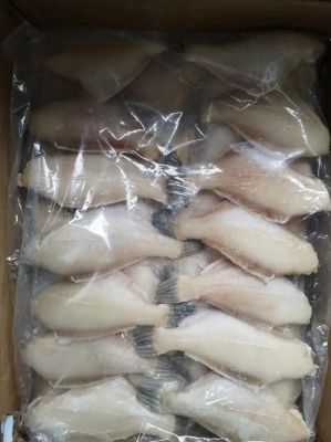 马面鱼价格(马面鱼的口感)-图3 马面鱼价格(马面鱼的口感)-图3