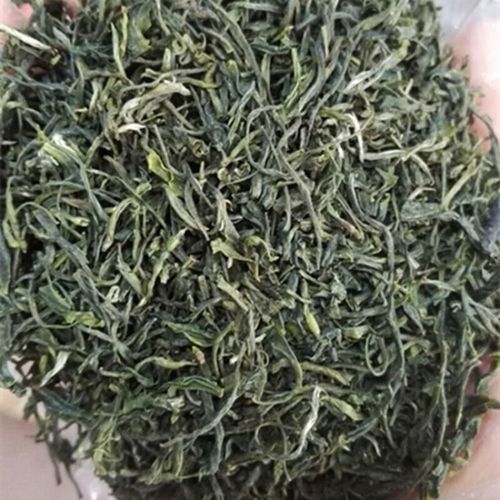 千丈白毫价格(湖北五峰千丈白毫茶叶)-图2 千丈白毫价格(湖北五峰千丈白毫茶叶)-图2