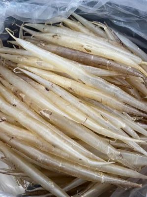 鳝肚的价格(鳝鱼肚的功效)-图2 鳝肚的价格(鳝鱼肚的功效)-图2