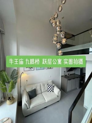 成都跃层价格(成都跃层小户型)-图3 成都跃层价格(成都跃层小户型)-图3