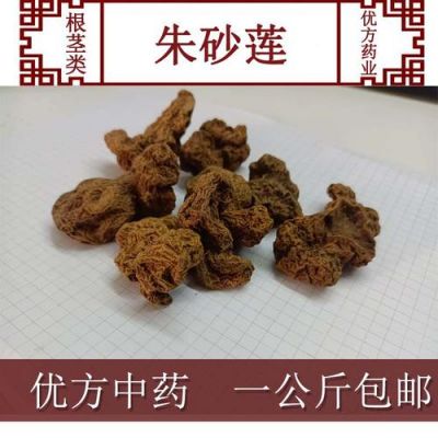 朱砂莲价格行情（朱砂莲种植前景）