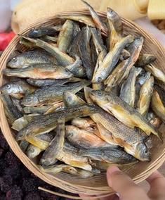 溪鱼干价格（溪鱼干的营养价值）