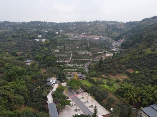 锦州帽山公墓价格(锦州帽山公墓价格多少)-图3 锦州帽山公墓价格(锦州帽山公墓价格多少)-图3
