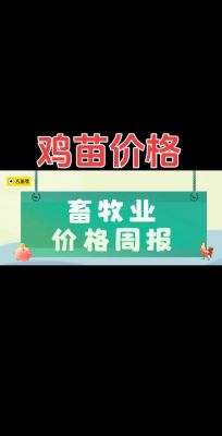 郸城鸡蛋价格（郸城鸡苗批发）