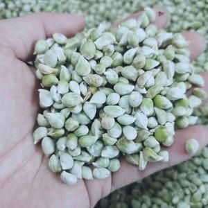 莆田金豆苗早教价格（莆田金豆芽口腔怎么样）