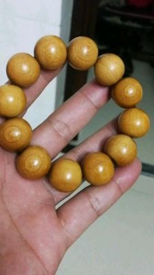 金丝李木价格(金丝李是名贵硬木吗)-图3 金丝李木价格(金丝李是名贵硬木吗)-图3