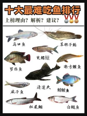 海鲢的价格（海鲢好不好吃）