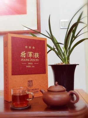 将军茯茶价格(将军茯茶的功效与作用)-图3 将军茯茶价格(将军茯茶的功效与作用)-图3