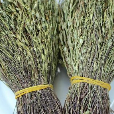 独脚甘价格（独脚苷的功效与作用）