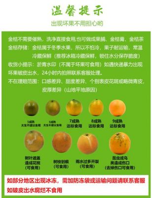 金水柑价格（椪柑和金水柑的区别）
