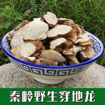 窜地龙价格（窜地龙治什么病）-图3